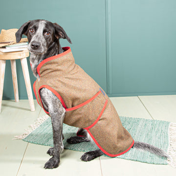 Hundemantel Regen | Standardform