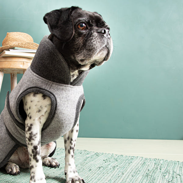 Warmer Hundemantel Winter | Bulliform | 100% Schurwolle