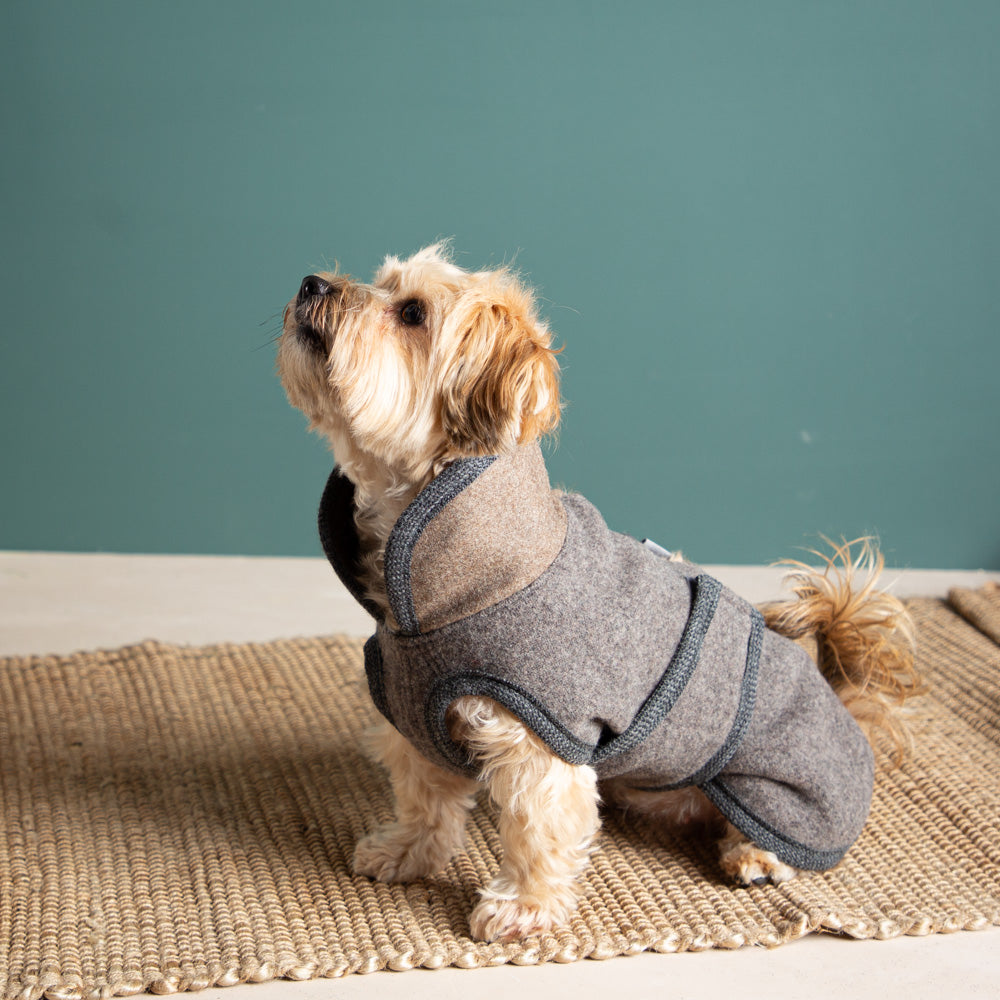 Warmer Hundemantel | Standardform | EINZELSTÜCK | braun | Größe 7 | verlängerter Rücken (Kopie)