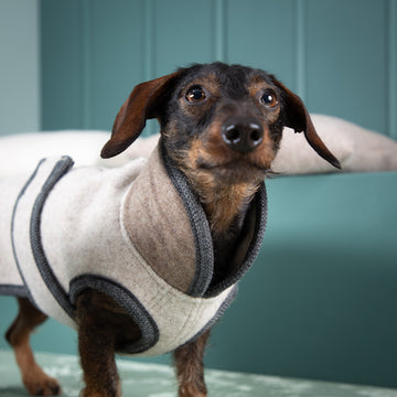 Premium Hundemantel aus Merino-Loden