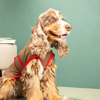 Hundemantel Regen | Standardform | 100% Merino-Schurwolle