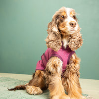 Hundemantel Regen | Standardform | 100% Merino-Schurwolle