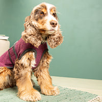 Warmer Hundemantel Winter | Standardform | 100% Schurwolle