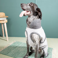 Warmer Hundemantel Winter | Standardform | 100% Schurwolle