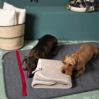 Hundematte_Schurwolle_mit_Trageriemen_Farbvarianten_mit_Hund-2