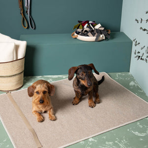 Hundematte_Schurwolle_mit_Trageriemen_beige_mit_Hund-2