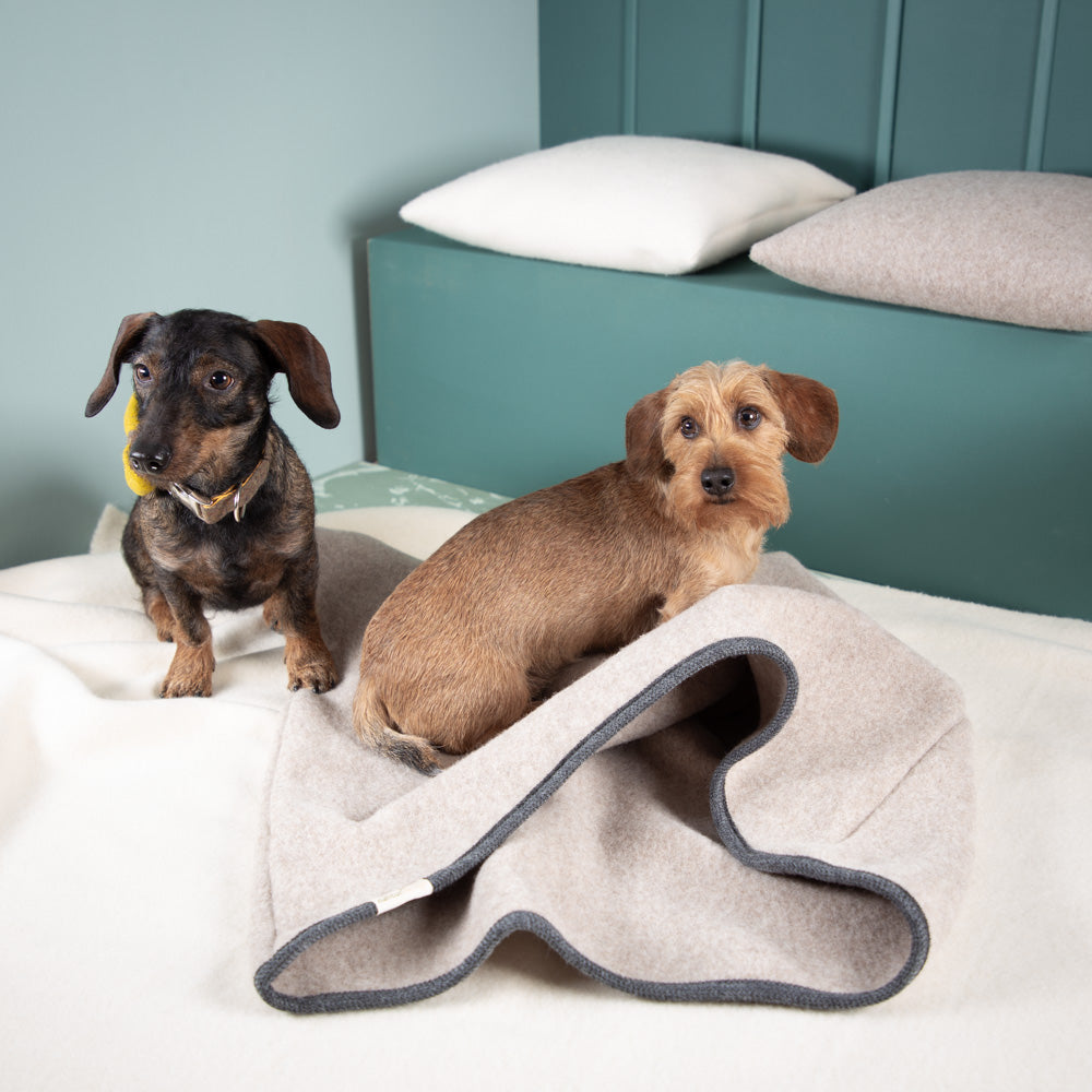 Hundeschlafsack aus mongolischer Merinowolle