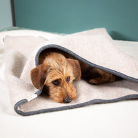 Hundeschlafsack aus mongolischer Merinowolle