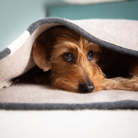 Hundeschlafsack aus mongolischer Merinowolle