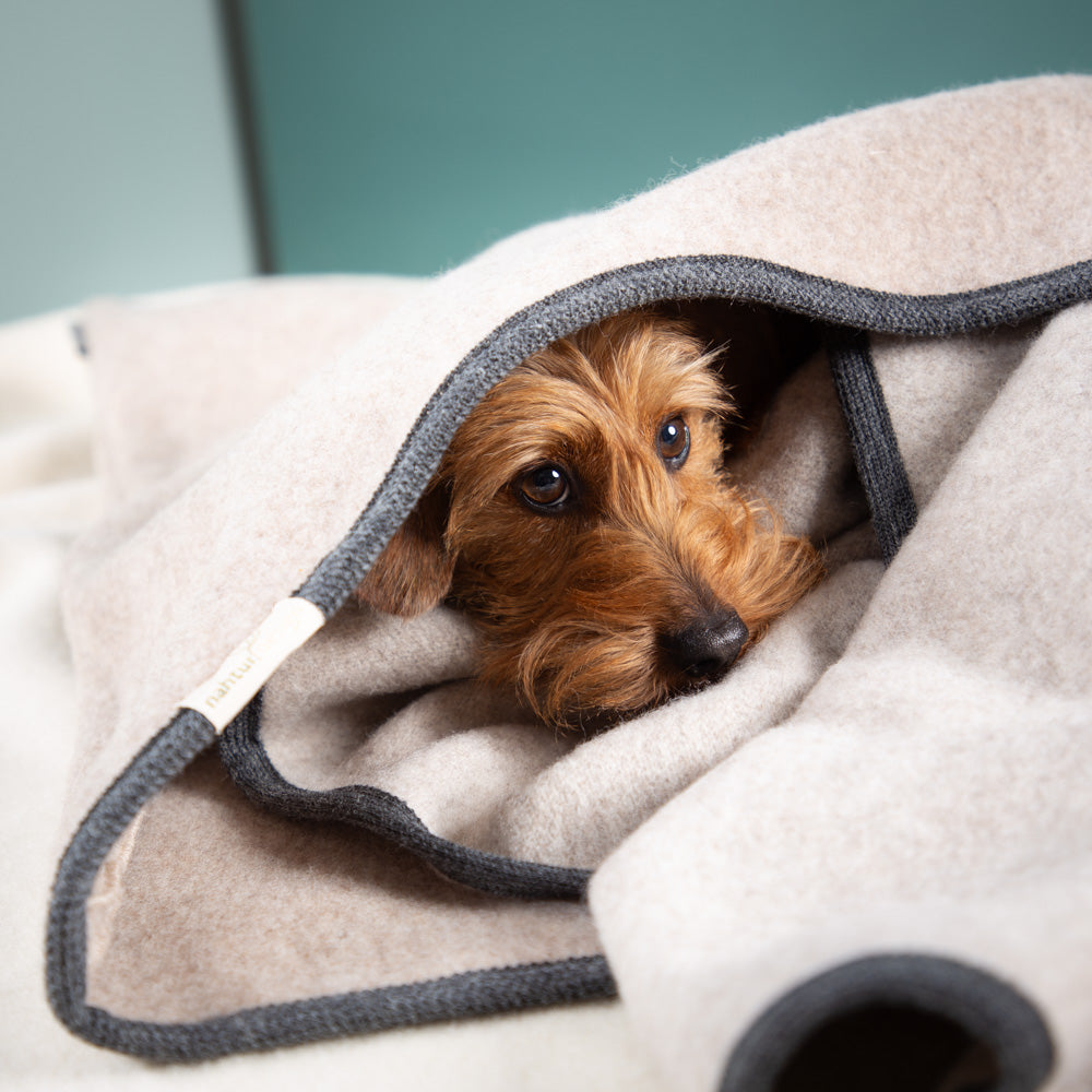 Hundeschlafsack aus mongolischer Merinowolle