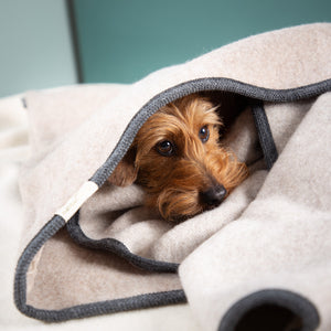 Hundeschlafsack aus mongolischer Merinowolle