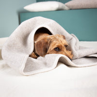 Hundeschlafsack aus mongolischer Merinowolle