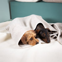 Hundeschlafsack aus mongolischer Merinowolle