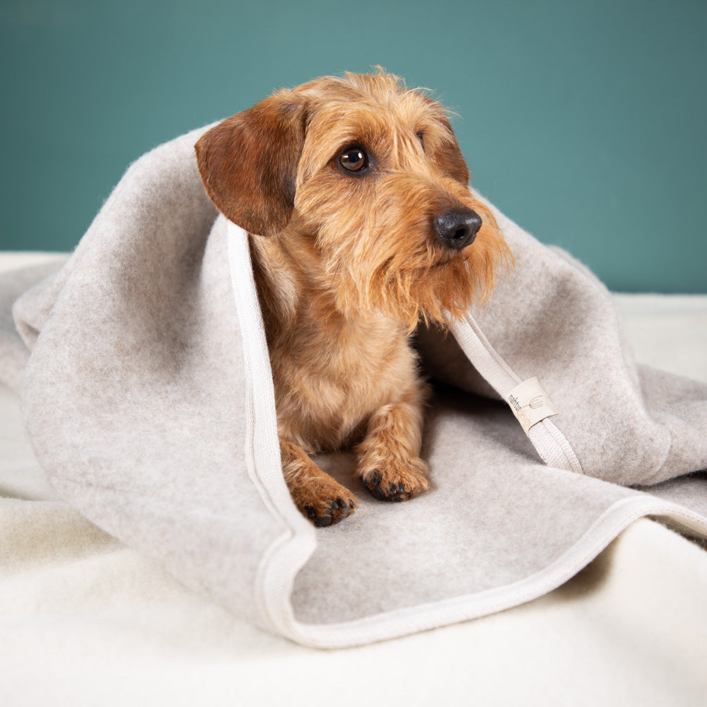 Hundeschlafsack aus mongolischer Merinowolle