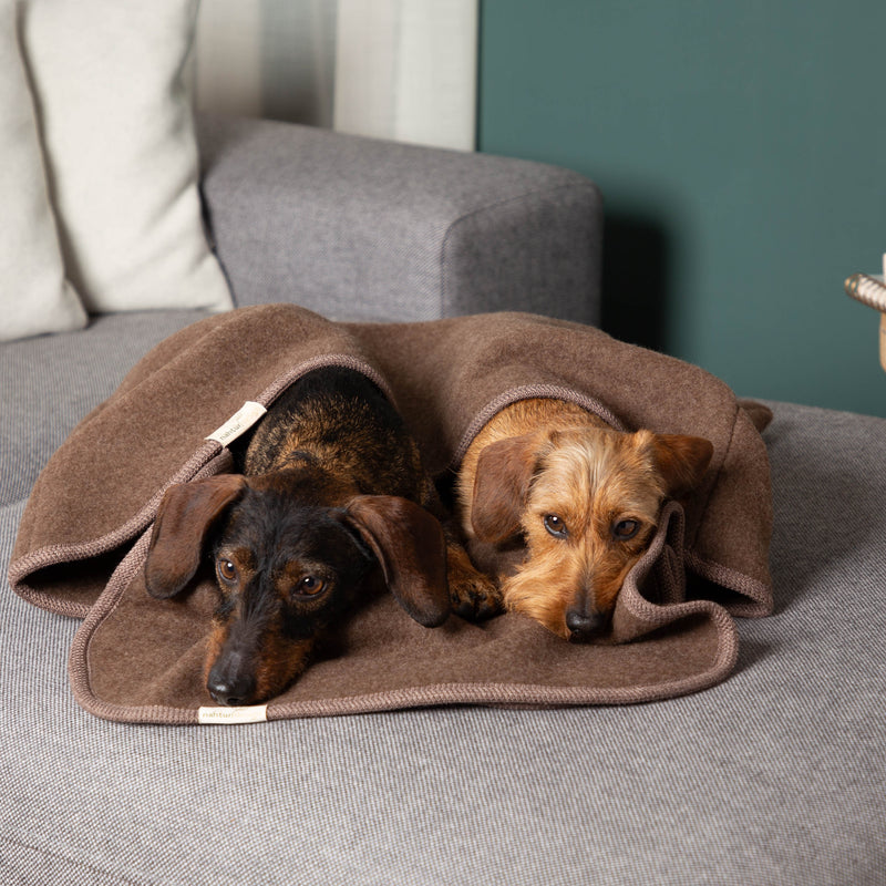 Hundeschlafsack_Premium_mongolische_Merinowolle_verschiedene_Farben-13