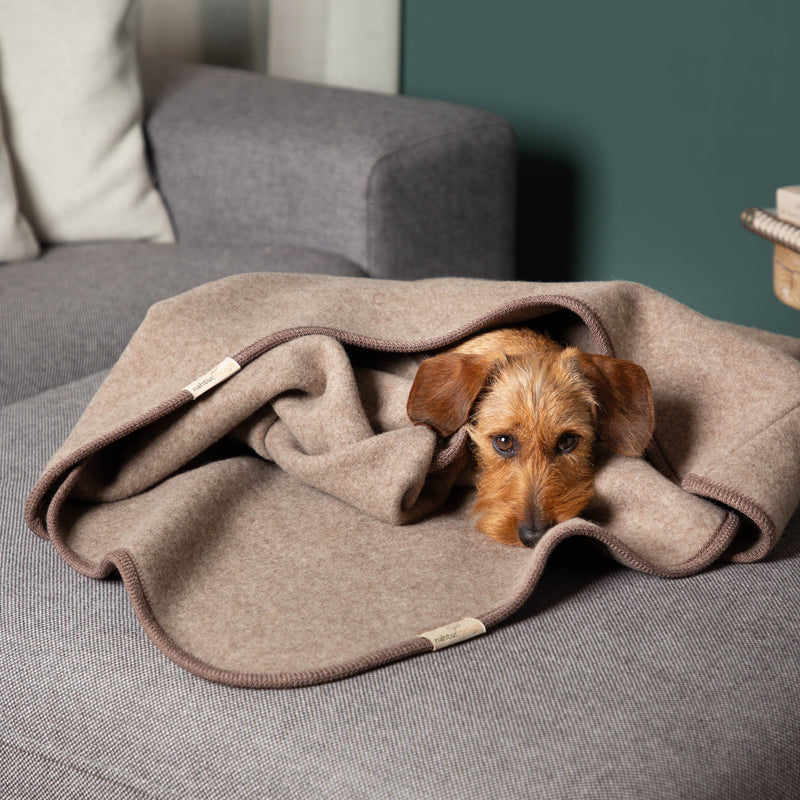 Hundeschlafsack_Premium_mongolische_Merinowolle_verschiedene_Farben-7