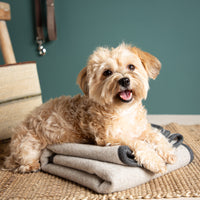 Hundedecke aus Merinowolle - mulesingfrei - beige_3