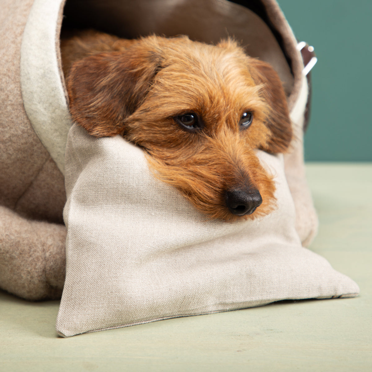 Kuschelkissen für die Hundetasche mit Wollefüllung und Bezug aus Bioleinen