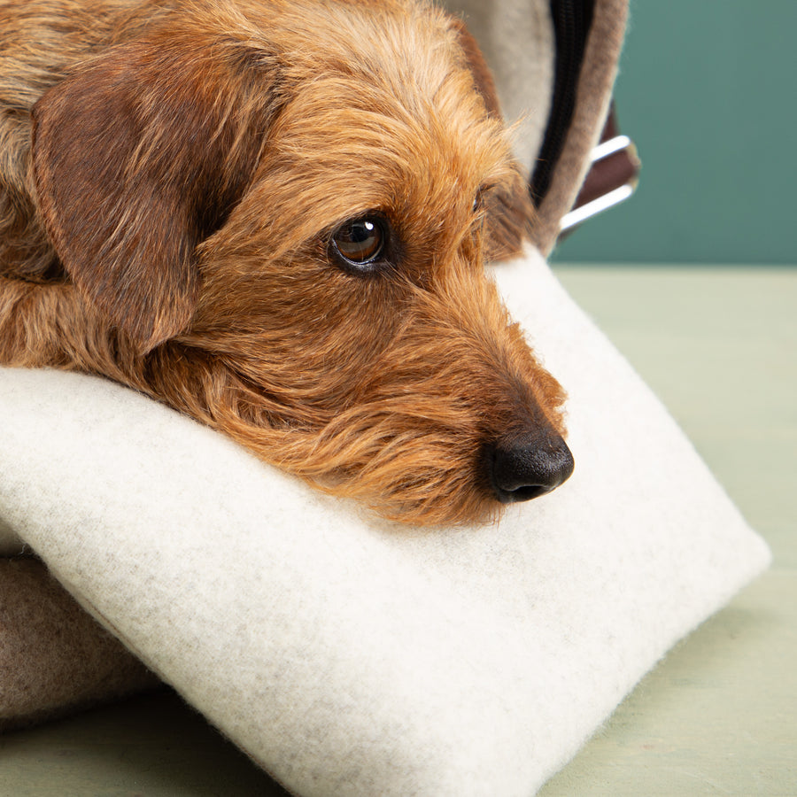Kuschelkissen aus Flauschloden für die Hundetasche