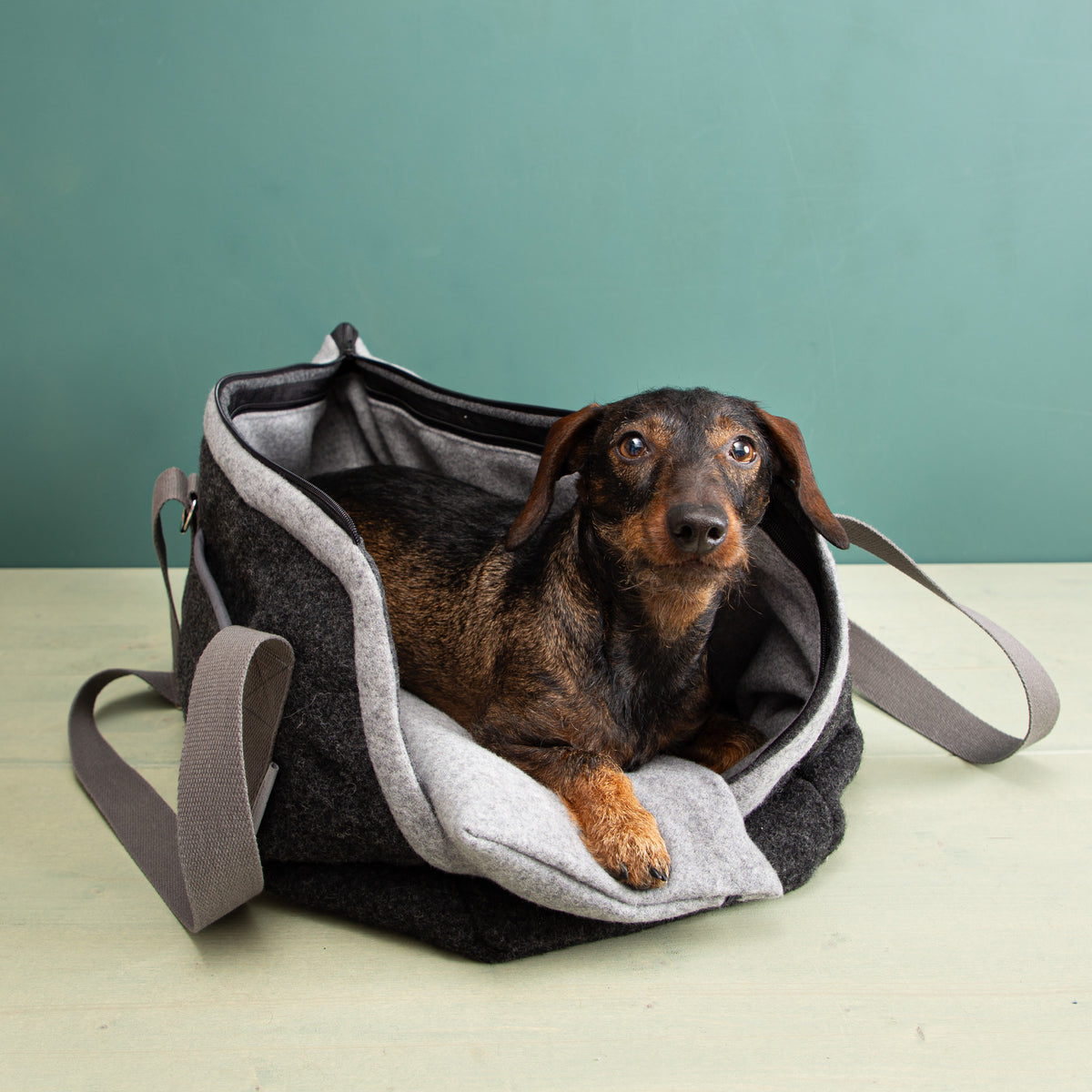 Hundetasche aus Loden mit Kuschelkissen - grau