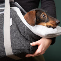 Hundetasche_Loden_Dackelgroesse-30