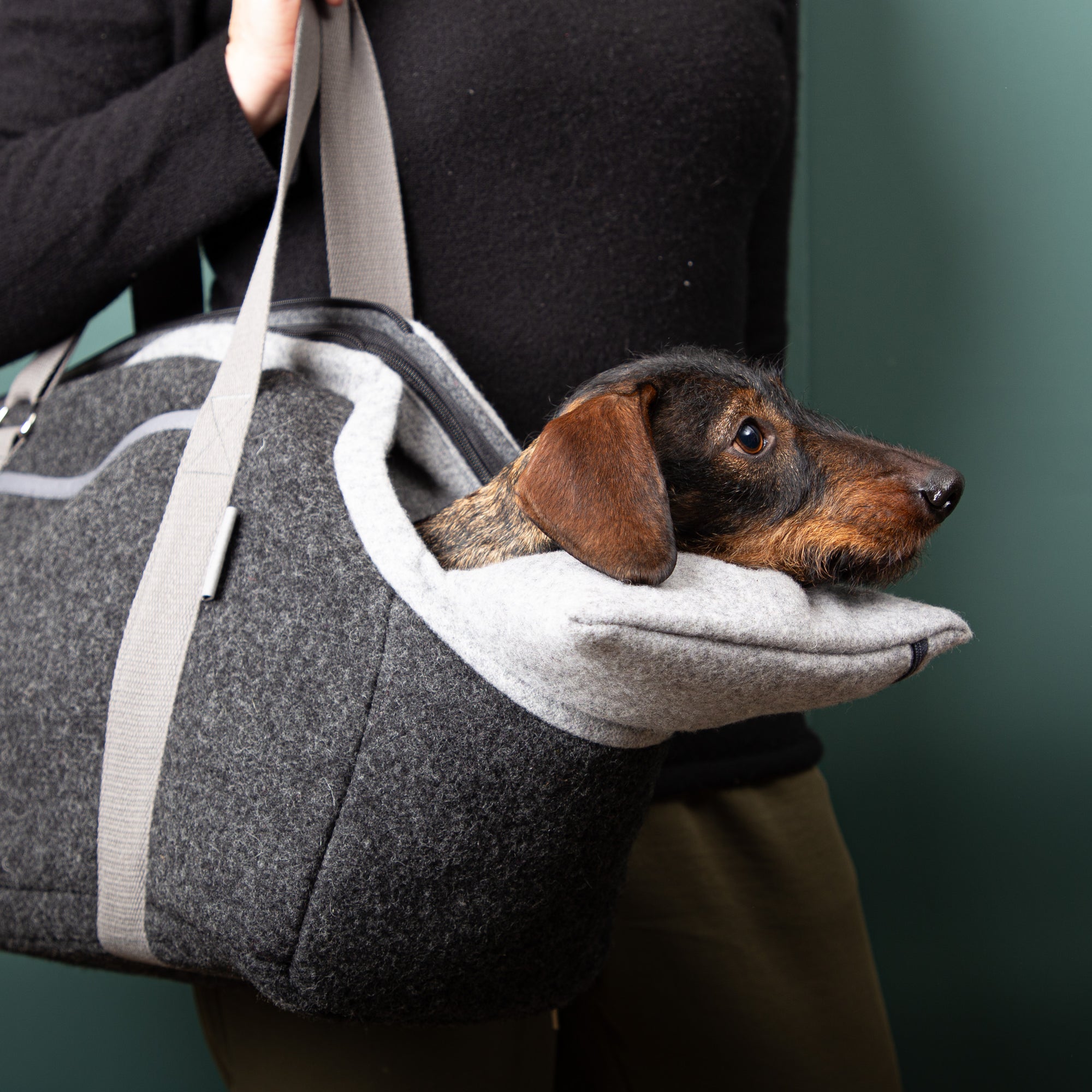 Hundetasche aus Loden