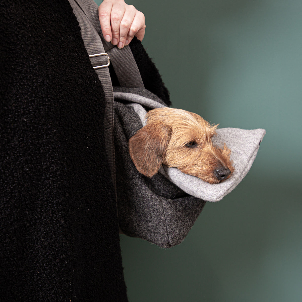 Hundetasche_Loden_nachhaltig-1-3