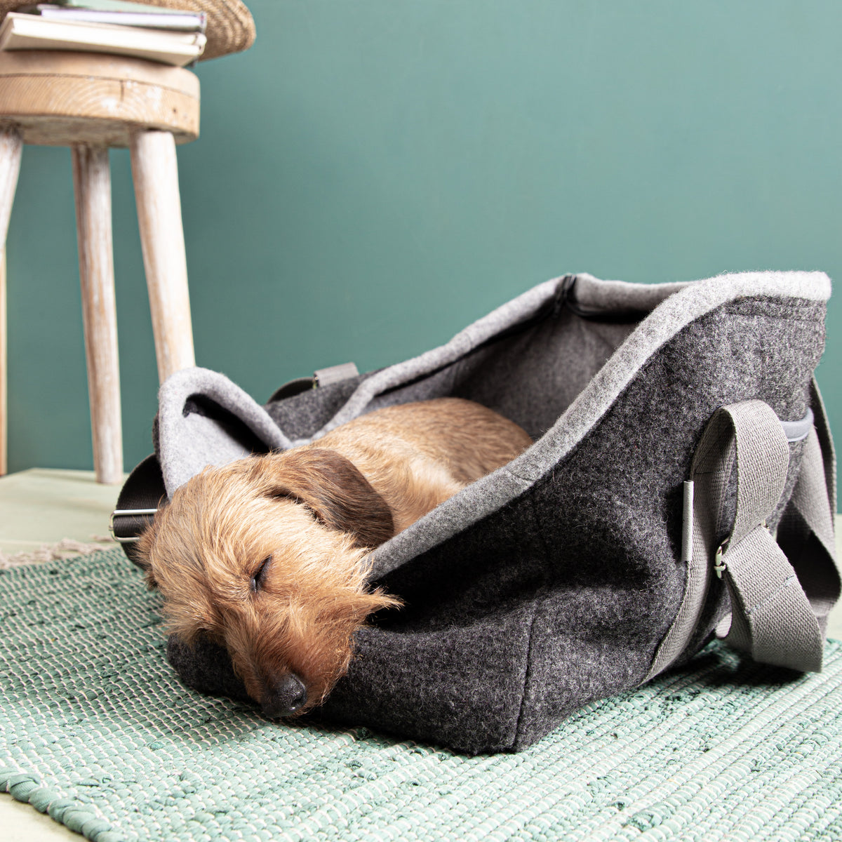 Hundetasche_Loden_nachhaltig-2-3_9a250ea2-7d6f-44f5-ac48-9a0a0232170c