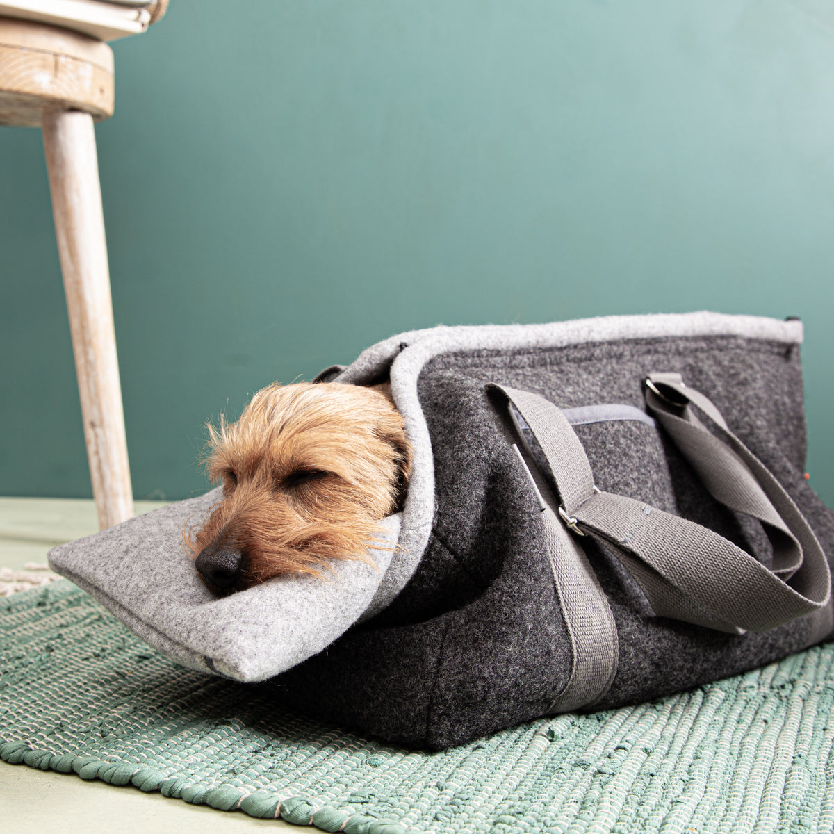 Hundetasche_Loden_nachhaltig-6-2
