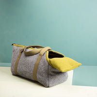 Hundetasche_verschiedeneFarben_final-24