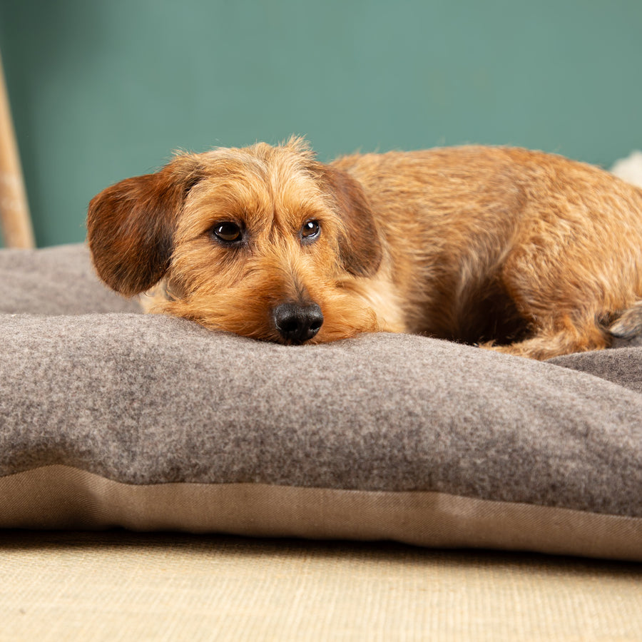 Hundekissen mit Dinkelspelzfüllung