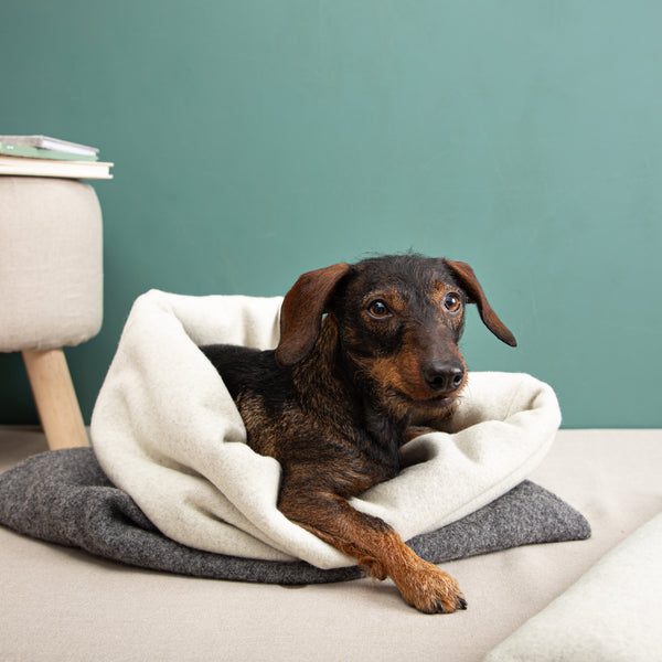 Kuschelsack für Hunde - Schurwolle- anthrazit- Flauschloden