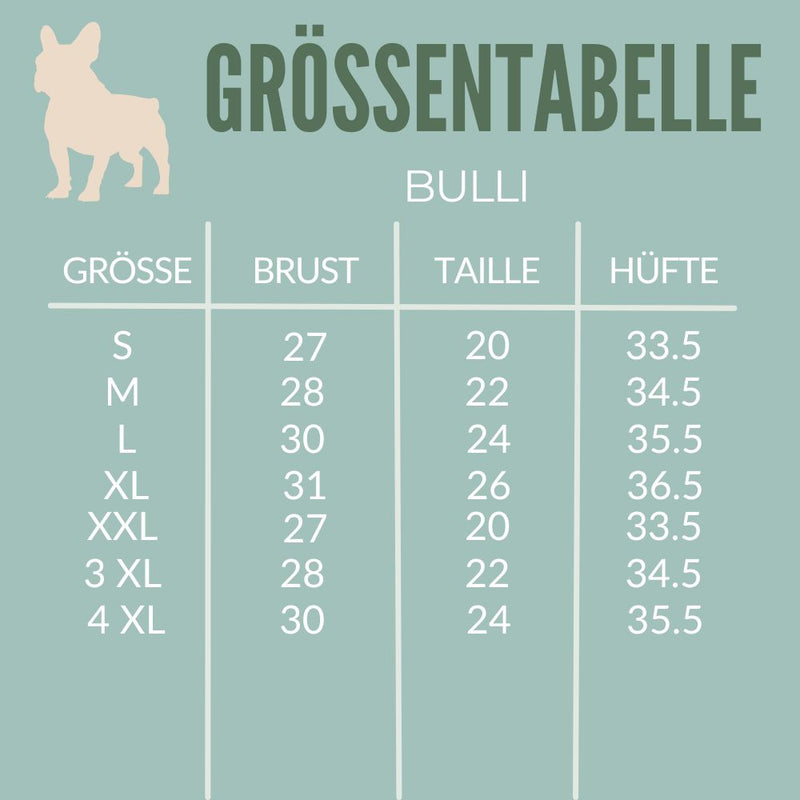 MasstabelleBulli