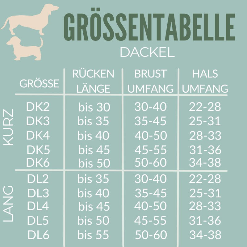 MasstabelleDackel