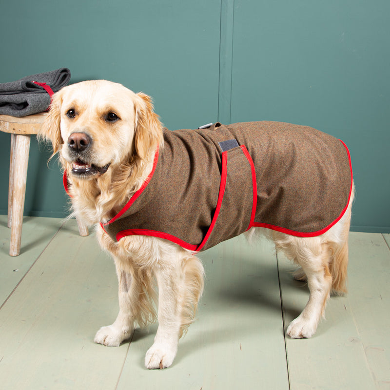 Hundemantel Regen | Standardform | 100% Merino-Schurwolle
