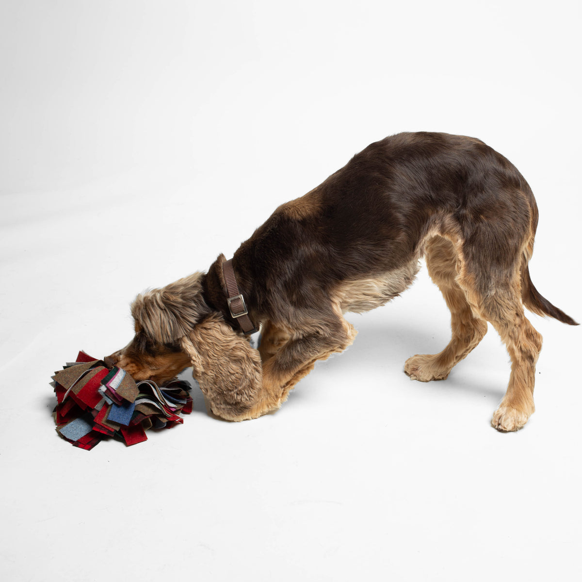 Schnüffelball | nachhaltiges Hundespielzeug