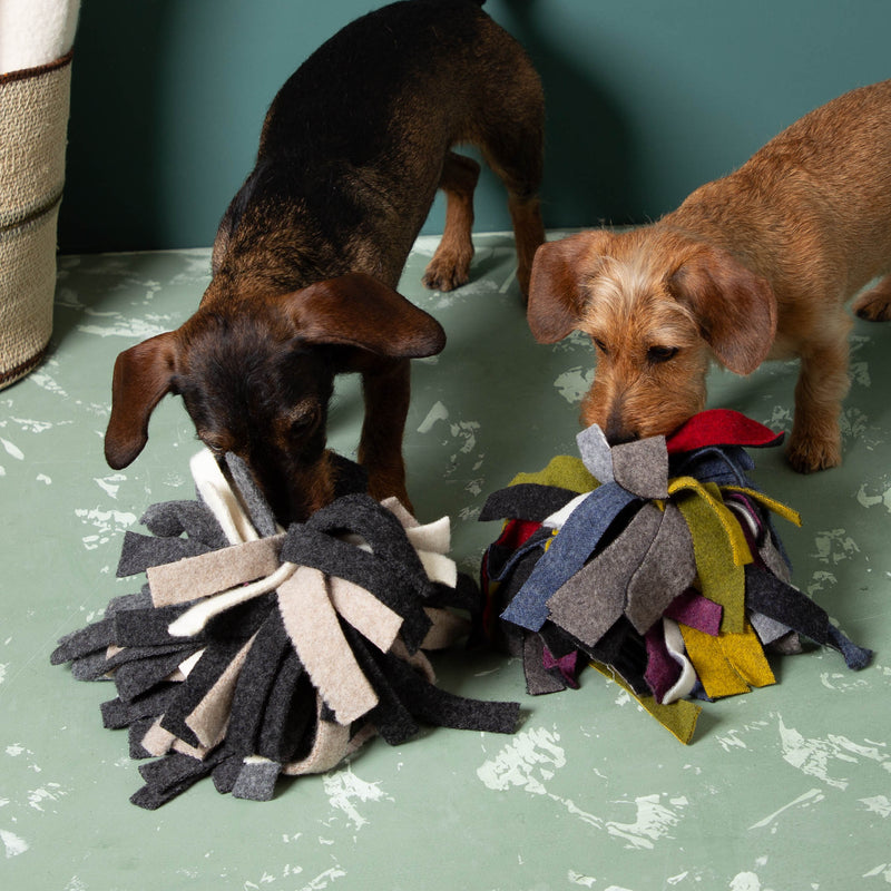 Schnueffelball_Hundespielzeug_ohne_Plastik