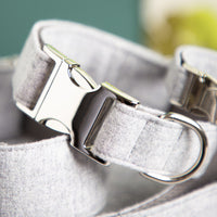 halsband-fur-hunde-grau-3