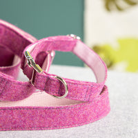 halsband-fur-hunde-pink-2
