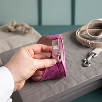 Hundehalstuch | 100% Schurwolle Feinloden | XS-L