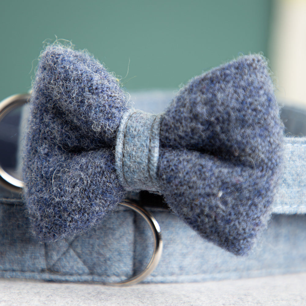 hundehalsband-schleife-wolle-loden-10_2bbe46e4-3aff-46cd-b694-e4ceb23b3ef1