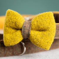 hundehalsband-schleife-wolle-loden-4