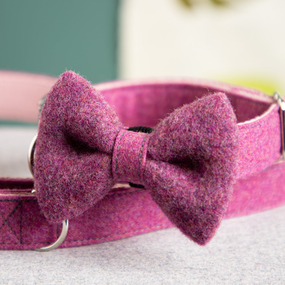 hundehalsband-schleife-wolle-loden-5