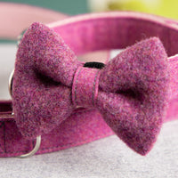 hundehalsband-schleife-wolle-loden-6