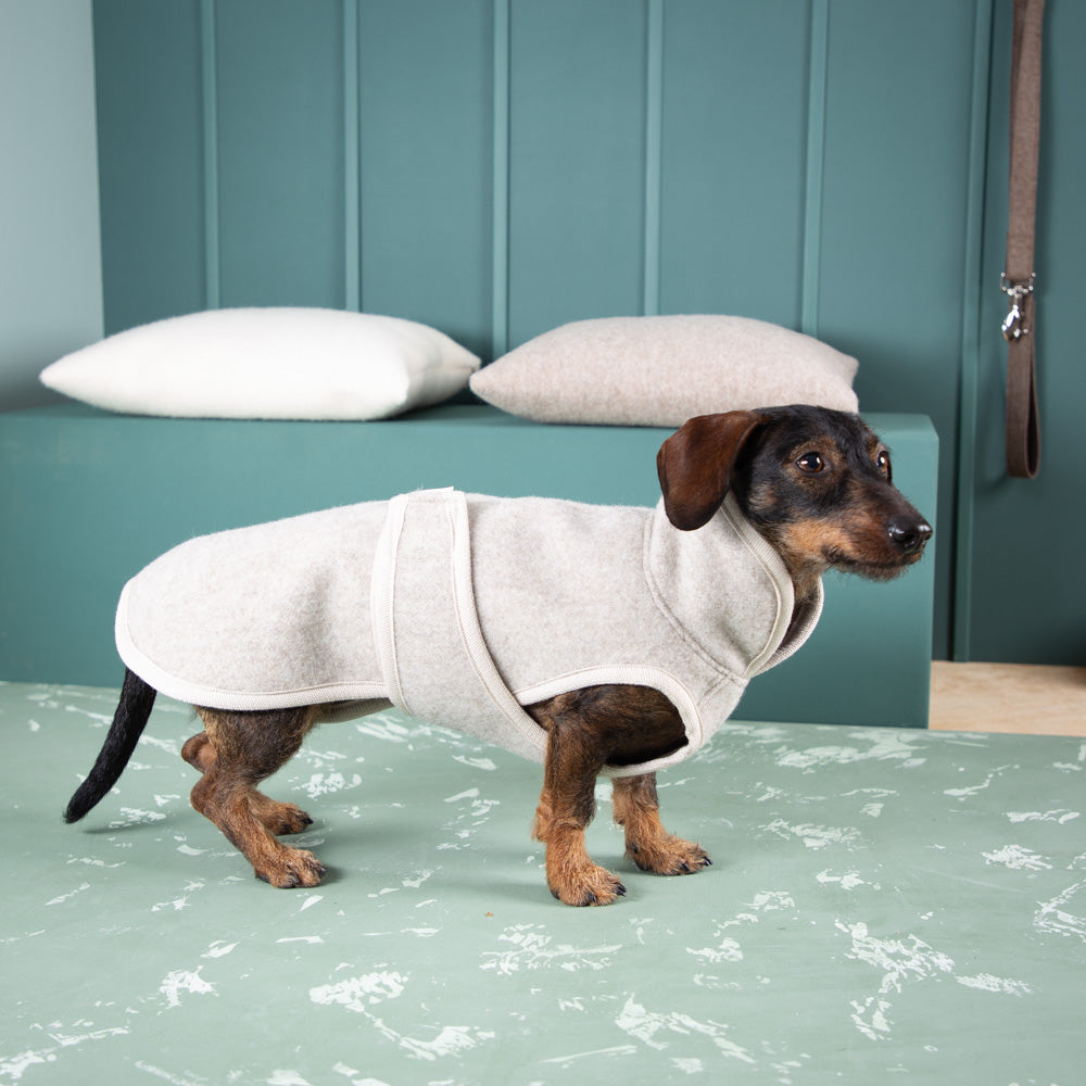 hundemantel_merinowolle_extrawarm_sonderedition-creme-8