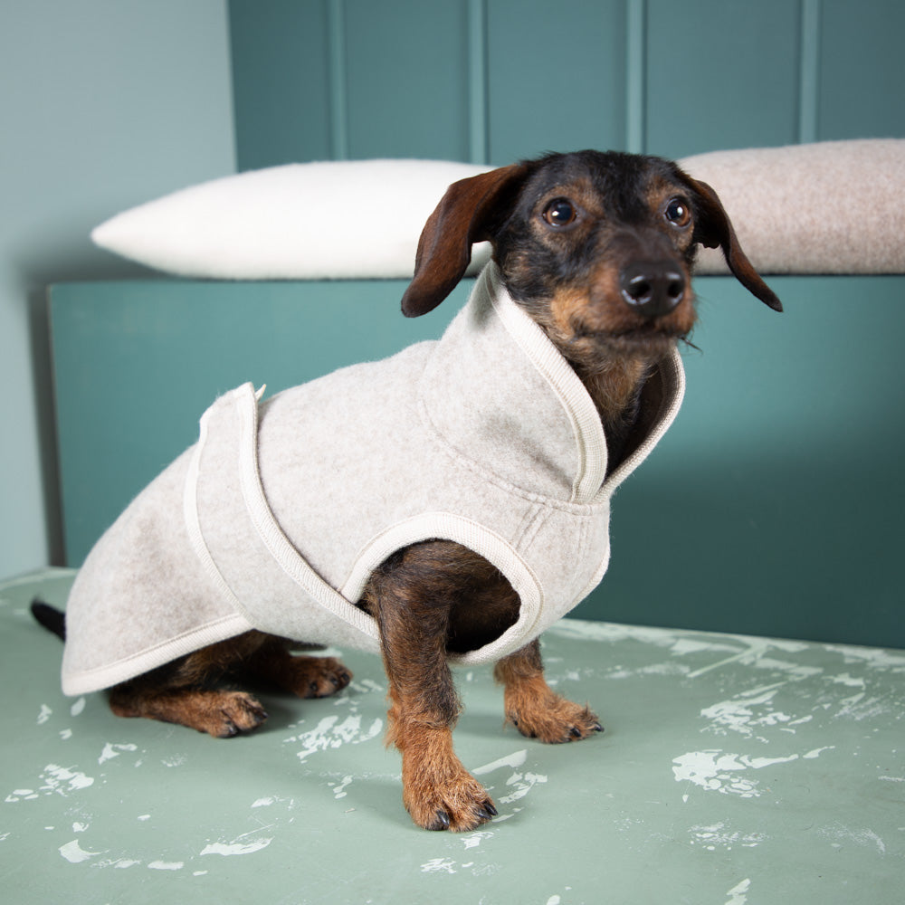 hundemantel_merinowolle_extrawarm_sonderedition-creme-9_5ee0f9c1-7de8-4ed5-af35-1f8974697685