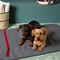 hundematte_schurwolle_mit_trageriemen_grau_mit_hund-2