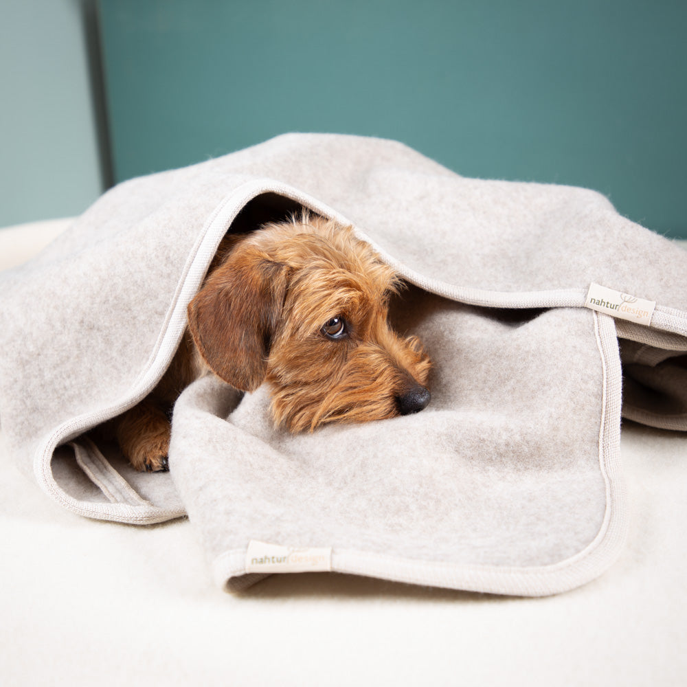 Hundeschlafsack aus mongolischer Merinowolle