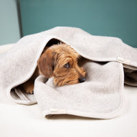 Hundeschlafsack aus mongolischer Merinowolle