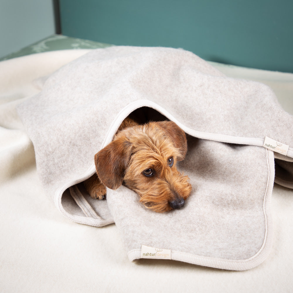 Hundeschlafsack aus mongolischer Merinowolle